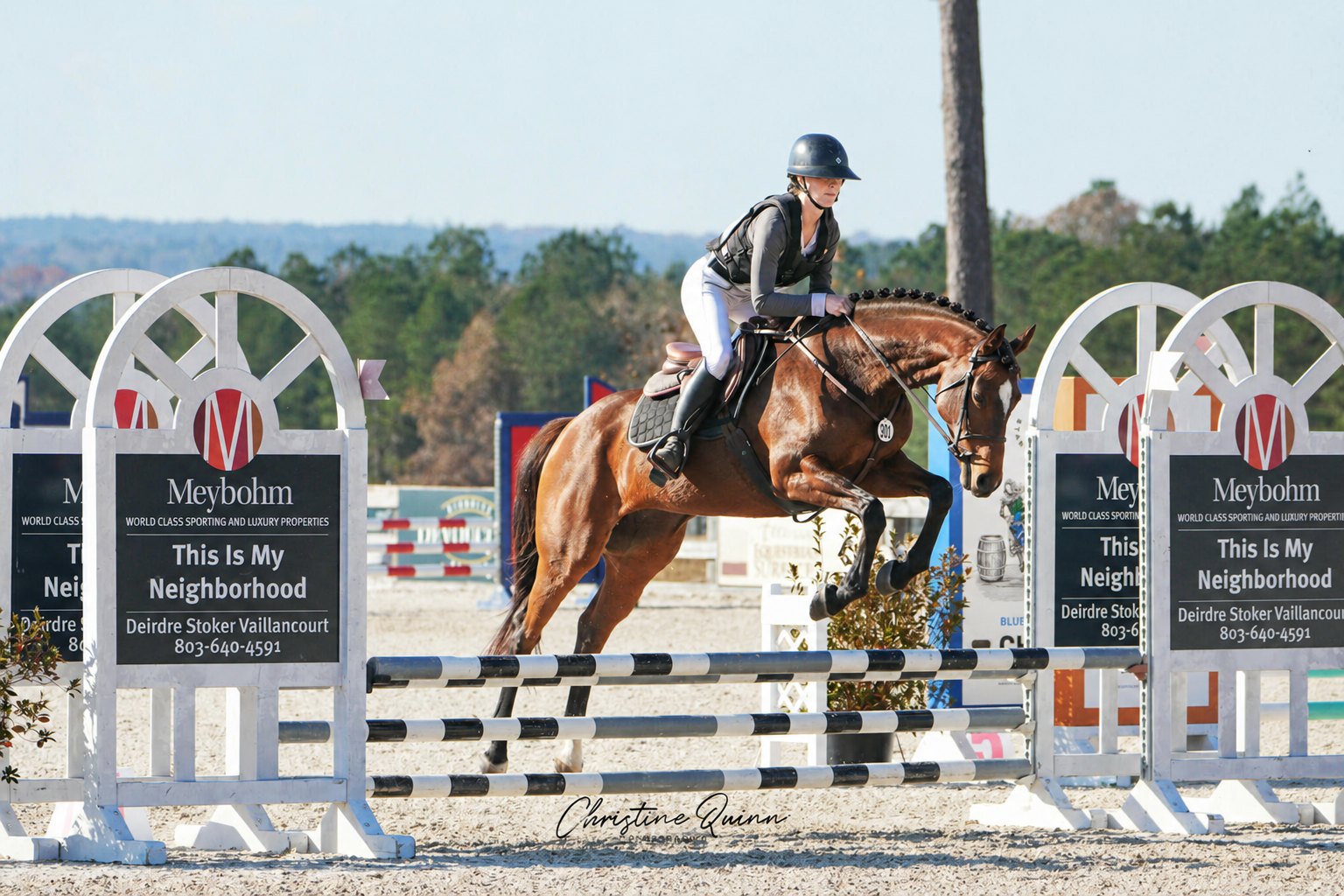 Braided mare clearing a show-jumping fence